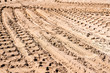 Tire tracks prints in sand