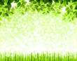 Vector: Summer branch with fresh green leaves above the glade Summer branch with fresh green leaves above the glade
