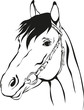 horse with bridle