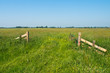 Photo: Spring in Dutch Countryside Spring in Dutch Countryside