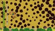 Vidéo : Ngorongoro National Park animation Ngorongoro National Park animation