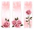 Vector: Three holiday banners with pink beautiful roses. Vector Three holiday banners with pink beautiful roses. Vector