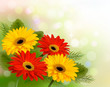 Nature background with colorful beautiful flowers. Vector illust