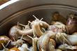 Photo: Snails in the bowl during preparation Snails in the bowl during preparation