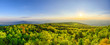 Spring landscape with fresh green forest