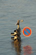 Hochwasser 1