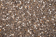 Chia