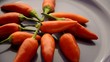 Capsicum Aji Peperoncino Chilli 고추류