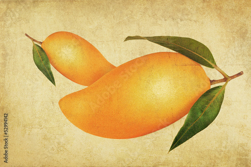 Photo: Close up view on nice fresh mango on vintage back Close up view on nice fresh mango on vintage back