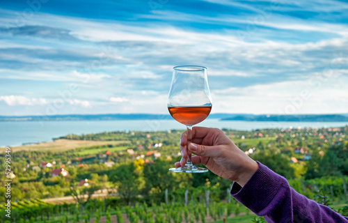 Nice vineyard