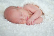 Portrait of  sleeping newborn baby in room
