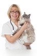 Veterinarian with cat