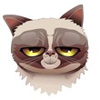 Grumpy Cat Cattish Smile-Gatto Stizzito con Sorriso Sornione