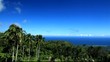 Tropical Panorama