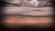 Gleaming silver city in desert