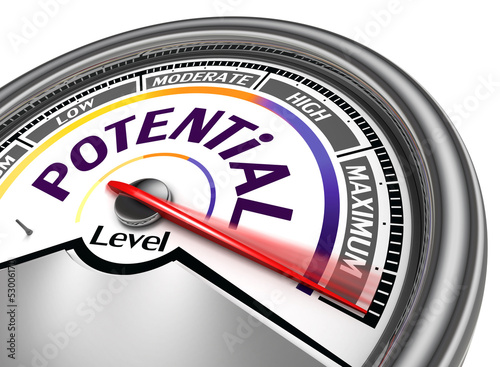 Illustration: potential level conceptual meter potential level conceptual meter