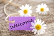 banner with Welcome