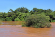 Iguazu river.