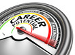 career potential conceptual meter