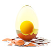 Cracked brown egg. Studio shot