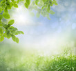 Photo: Abstract spring background Abstract spring background
