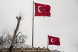 turkish flags
