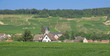 Foto: Weindorf in der Champagne nahe Epernay Weindorf in der Champagne nahe Epernay