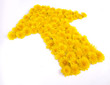 Flower Arrow