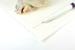Paper note with pen and sea shell paperweight