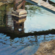Shallows