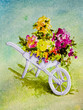 White Wheelbarrow with Flowers