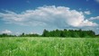 Time lapse clip of summer morning