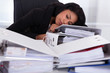 Foto: Businesswoman Sleeping On Piles Of Folders Businesswoman Sleeping On Piles Of Folders