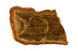 Polished interior of a speleothem