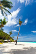 Photo: Tropical scene Tropical scene