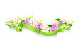 Spring flowers and ribbon