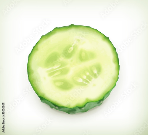 Vector: Slice of cucumber Slice of cucumber