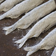 Small fish (capelin) sprinkled with flour before baking