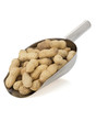 nuts peanuts isolated on white