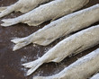 Small fish (capelin) sprinkled with flour before baking