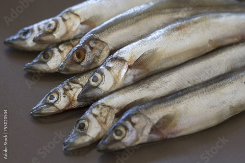 Photo: Raw fish capelin Raw fish capelin