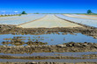 view on a flood field with cover