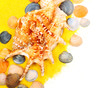 Sea shells