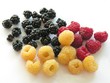 Foto: multicolor raspberries multicolor raspberries