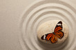 Foto: Zen rock with butterfly Zen rock with butterfly