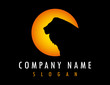 Lion sun logo