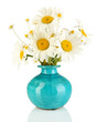 Beautiful bouquet chamomiles in vase isolated on white