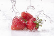 fragole splash