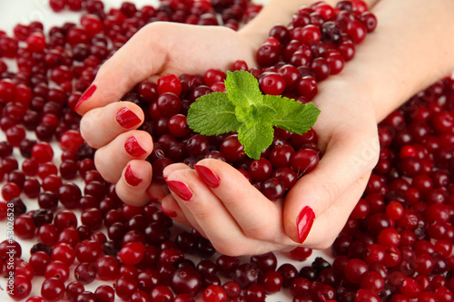 Photo: Woman hands holding ripe red cranberries, close up. Woman hands holding ripe red cranberries, close up.
