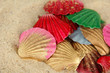 Photo: Colorful seashells on sand background Colorful seashells on sand background